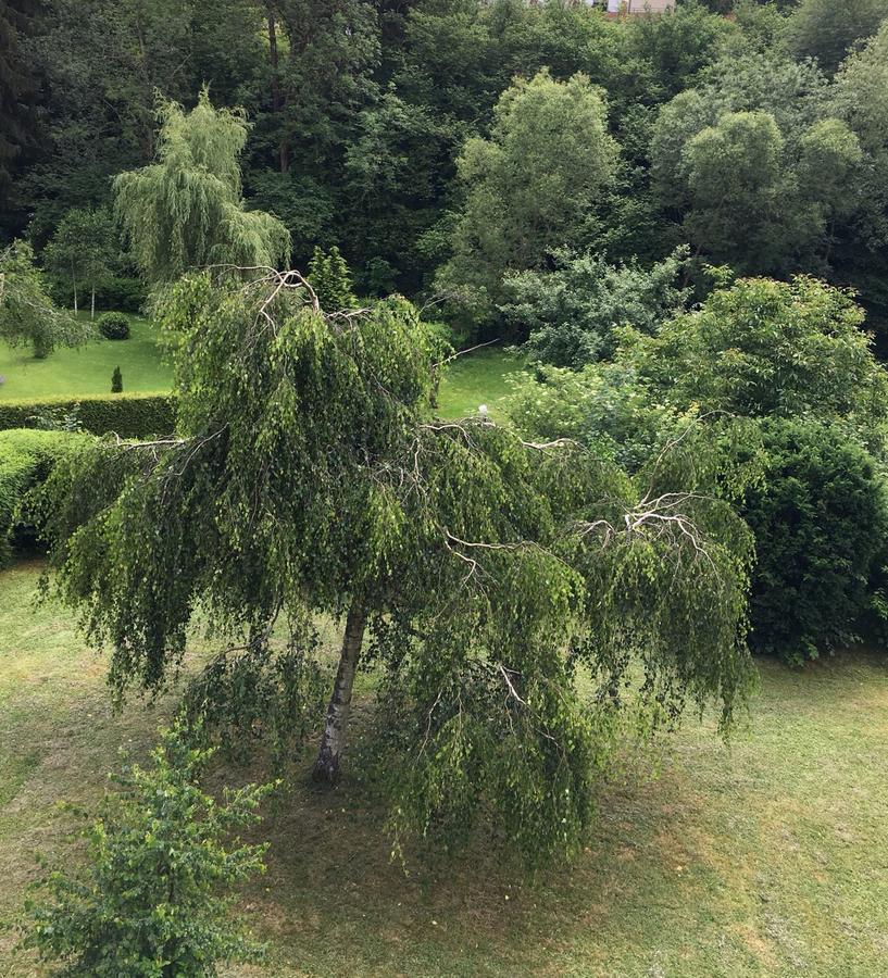 Auszeit Am Eifelsteig Hotel Daun Eksteriør billede
