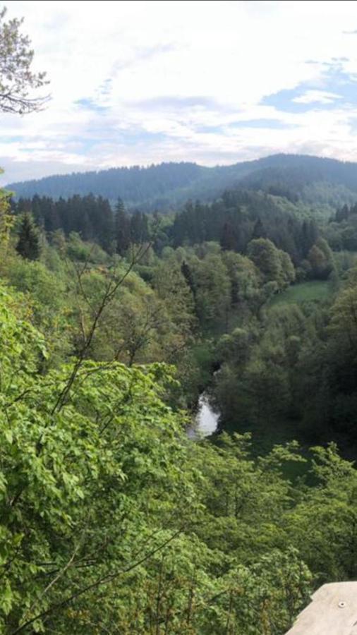 Auszeit Am Eifelsteig Hotel Daun Eksteriør billede